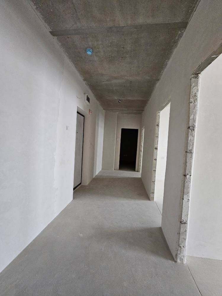20241018_142453