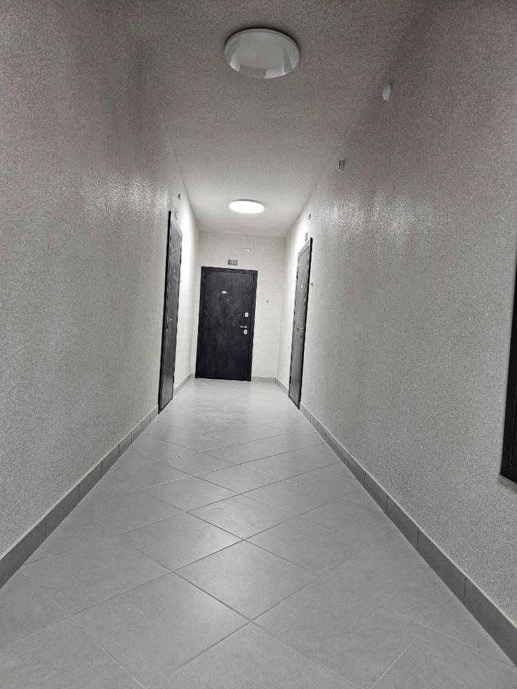 20241018_142640