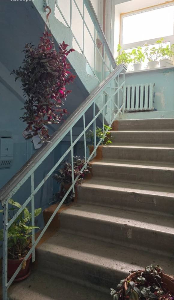 Ставропольский край, Новопавловск, Лесная ул.; Квартира 43м² 2/2 эт.